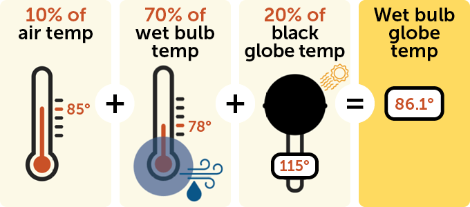 A diagram showing how to calculate the wet bulb globe temperature.